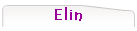 Elin