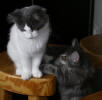 Charles with Daisy