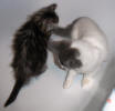 Charles with halfsister Dagmar