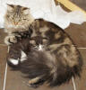 Elin wiht her son Hugo
